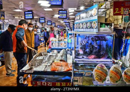 SEOUL, SÜDKOREA - 5. APRIL 2023: Besucher besuchen den Noryangjin Fisheries Wholesale Market in Seoul. Es ist einer der größten Fischmärkte in Korea. Stockfoto