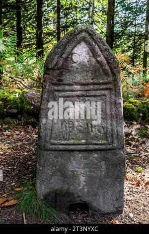 Eine aufrechte Grabstele im keltischen Lager La Bure, einer befestigten Hochburg, die an das Haute-Meurthe-Tal grenzt, Grand-East von Frankreich. Stockfoto