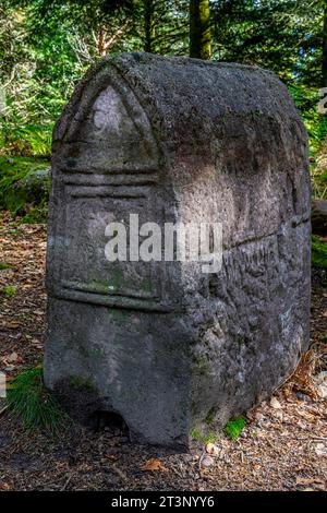 Eine aufrechte Grabstele im keltischen Lager La Bure, einer befestigten Hochburg, die an das Haute-Meurthe-Tal grenzt, Grand-East von Frankreich. Stockfoto