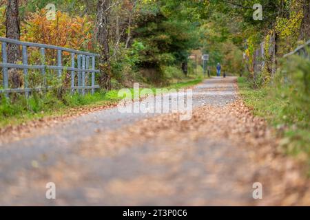 Herbst, Herbst, Bild eines langen gepflasterten Weges, der sich in der Ferne erstreckt und orangefarbene Blätter auf dem Boden hat. Stockfoto