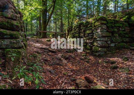 Murus gallicus im keltischen Lager von La Bure Camp celtique de la Bure. Das keltische Lager von La Bure, ein befestigter Hochort, der an die Haute-Meurthe va grenzt Stockfoto