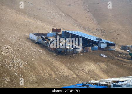 Armut in Palästina. Provisorische Hütten eines Ziegenhirtendorfes in der Wüste. Judaeische Wüste im Westjordanland. Stockfoto