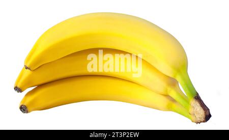 Drei Bananen auf weißem Hintergrund. Frisches Obst in vollem Umfang. Stockfoto