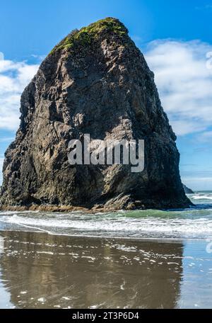 Ein Blick auf einen Felsenmonolithen am Meyers Creek Beach im Bundesstaat Oregon. Stockfoto