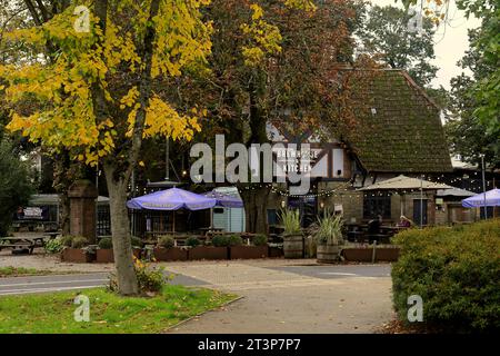 Brewhouse & Kitchen Craft Ale Publisher, Pontcanna, Cardiff. Aufgenommen Im Herbst 2023. Oktober. (Zuvor Y Mochyn du) Stockfoto