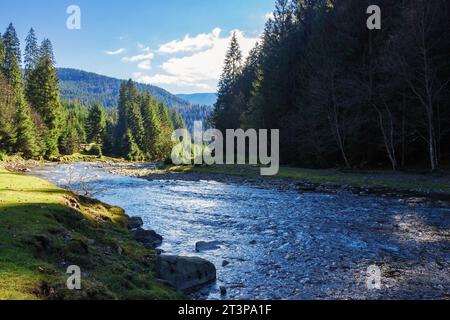 der fluss fließt durch ein bewaldetes Tal. karpaten Landschaft an einem warmen sonnigen Tag im Herbst Stockfoto