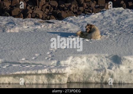 Van Otteroya Island, Svalbard Islands, Norwegen. Stockfoto