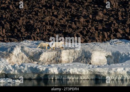 Van Otteroya Island, Svalbard Islands, Norwegen. Stockfoto