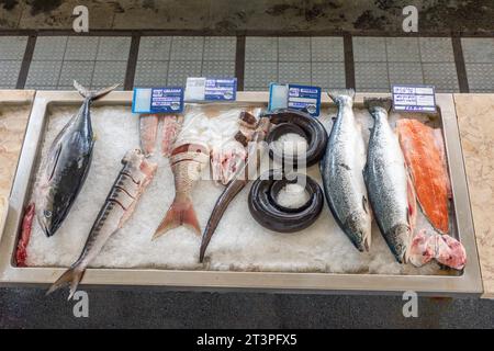 Fischpräsentation in Fischhändlern im Mercado dos Lavradores (Bauernmarkt), Rua Brigadeiro Oudinot, Funchal, Madeira, Portugal Stockfoto