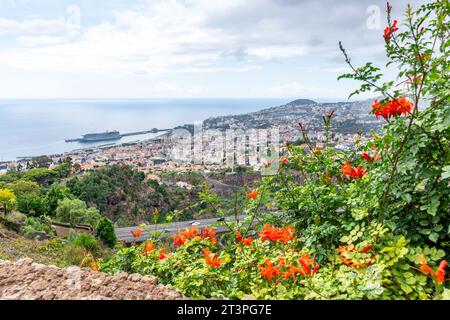 Stadtpanorama vom Jardim Botânico da Madeira (Botanischer Garten Madeira), Monte, Funchal, Madeira, Portugal Stockfoto