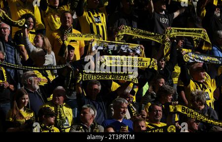 Dortmund, Deutschland. Oktober 2023. firo: 7. Oktober 2023, Fußball, 1. Liga, 1. Bundesliga, Saison 2023/2024, BVB, Borussia Dortmund - Union Berlin 4:2 Fans BVB, Schals Credit: dpa/Alamy Live News Stockfoto