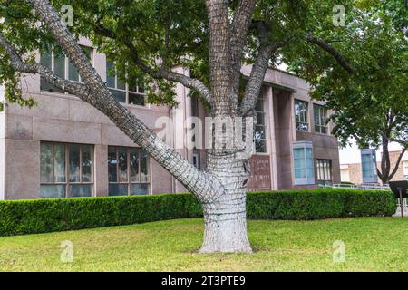Austin Steam Train Association Hill County Flyer halten in Burnet, Texas - für Mittagessen, Shopping und Unterhaltung. Stockfoto
