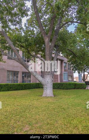 Austin Steam Train Association Hill County Flyer halten in Burnet, Texas - für Mittagessen, Shopping und Unterhaltung. Stockfoto