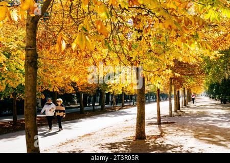 Leute, die im Herbst auf einem der Fußwege laufen. Der Buen Retiro Park - Parque del Buen Retiro, wörtlich „Park of the Pleasant Retreat“, Retiro Pa Stockfoto