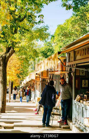 La Cuesta de Moyano ist der populäre Name, unter dem die Calle de Claudio de Moyano in Madrid bekannt ist, berühmt für die Verkaufsstände, die Bücher verkaufen, viele davon Stockfoto