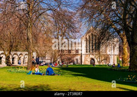 Die Leute genießen einen sonnigen Tag im Dean's Park im Frühjahr. York, North Yorkshire, Yorkshire und The Humber, England, Vereinigtes Königreich, Europa Stockfoto