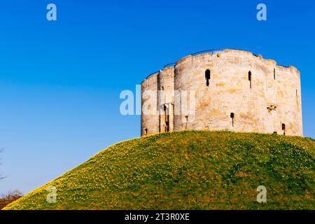 Der heute ruinierte Donjon der mittelalterlichen normannischen Burg wird gemeinhin als Clifford's Tower bezeichnet. York, North Yorkshire, Yorkshire und die Humber, Englan Stockfoto