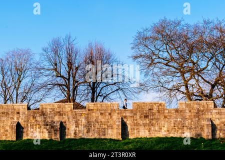 Blick auf die Stadtmauern von York bei Sonnenuntergang im Frühjahr. York wird seit der römischen Zeit durch Mauern verteidigt. Bis heute sind wesentliche Teile der Mauer Stockfoto