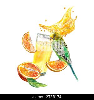Ein Glas Saft, Spritzer und Orangenscheiben, ein Kumpel. Aquarellillustration von Zitrusfrüchten isoliert auf weißem Hintergrund. Designelement für Café Stockfoto