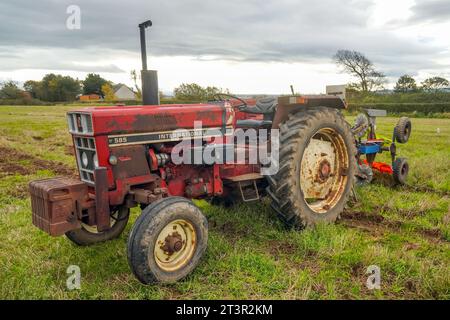 1980's International Harvester 585, gebaut in England, ausgestellt auf einer Landwirtschaftsmesse in Troon, Ayrshire, Schottland, Großbritannien Stockfoto