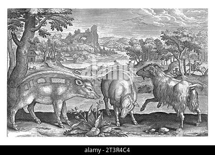 Ziege und Eber, Adriaen Collaert, 1595 - 1599 zwei Eber und eine Ziege. Im Hintergrund eine Landschaft mit einem Fluss und einer Wildschweinjagd. Stockfoto