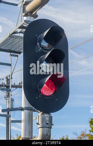 Blick von der Austin Steam Train Association Hill Country Flyer Zugfahrt. Zugsignal. Stockfoto