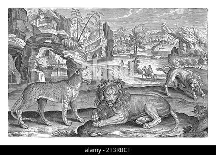 Lions and Leopard, Adriaen Collaert, 1595 - 1633 zwei Löwen und ein Leopard im Vordergrund. Im Hintergrund eine Landschaft mit einem Fluss. Stockfoto