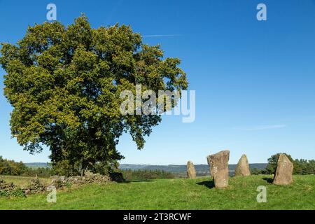 Nine Stones Close, auch bekannt als The Grey Ladies, ist ein Steinkreis im Harthill Moor in Derbyshire Stockfoto