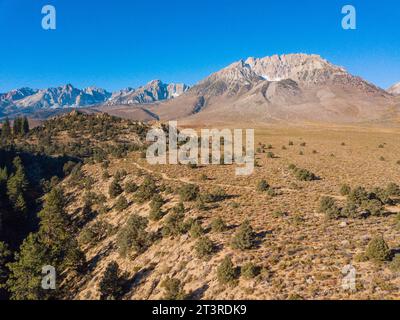 Luftaufnahmen der östlichen Sierra Nevada Mountains mit Drohne im Herbst. Blauer Himmel und gelbes Herbstlaub. Stockfoto