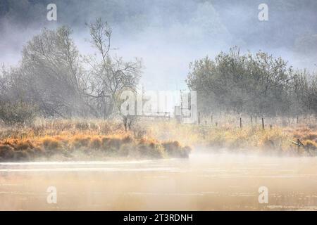 Bilder des Lake District bei derwentwater und Cat Bells. Fellwalk. Stockfoto