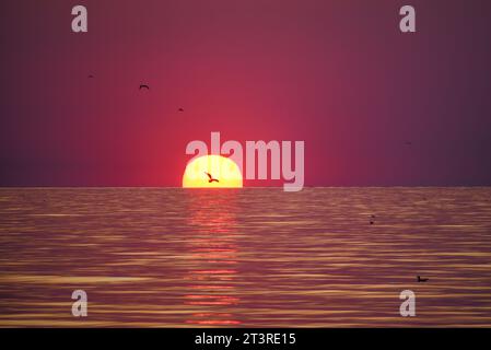 Sonnenaufgang am Schwarzen Meer, Rumänien Stockfoto