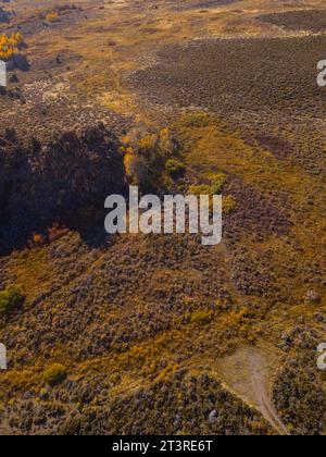 Luftaufnahmen der östlichen Sierra Nevada Mountains mit Drohne im Herbst. Blauer Himmel und gelbes Herbstlaub. Stockfoto