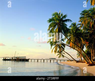 Malediven. Tropischer Strand. Steg mit Fischerboot. Stockfoto