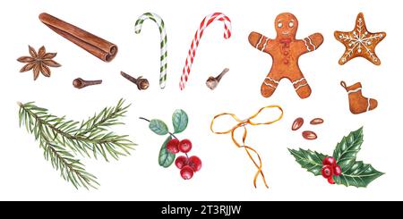 Set mit Weihnachtsdekoration. Zimtstab, Sternanis, Zuckerrohr, Lebkuchenkeks, stechpalme, Fichte, Nelken, rote Beeren. Aquarellabbildung Stockfoto