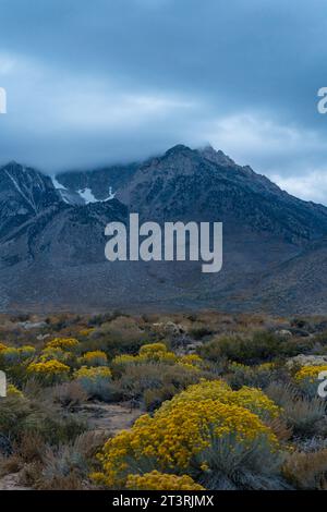 Bewölkter Morgen in den Buttermilks, am Fuße der Sierra Nevada Mountains in Bishop California. Herbstfarben und schneebedeckte Berge mit La Stockfoto