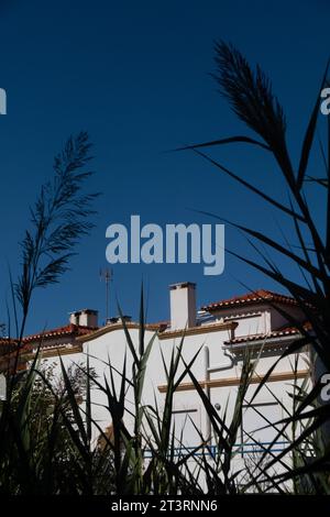 September 2023. Ericeira Küstenstadt in Portugal. Quelle: SMP News / Alamy Live News Stockfoto