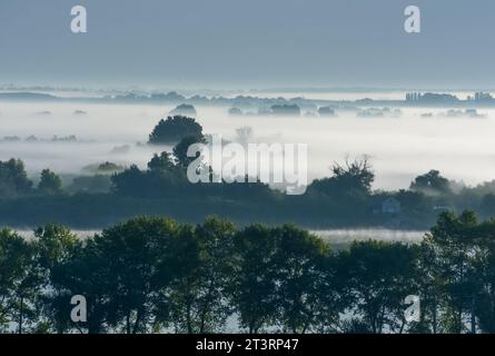 Sonnenaufgang mit Nebel im Donaudelta Stockfoto