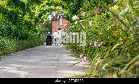 GARTENBEGLEITERIN und ältere Dame im Alter draußen (berührende Pflege), auf ihrem Mobilitätsroller im Garten, der durch den Garten navigiert, zeigt Cosmos bipinnatus und Tunnel aus üppig grünen, nicht blühenden Glyzinien, auf flachem Stein, rollstuhlgerechtem Fußgängerweg. Stockfoto