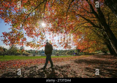 Vancouver, Kanada. Oktober 2023. Ein Mann läuft am 26. Oktober 2023 unter einem Vordach aus Herbstlaub in Vancouver, British Columbia, Kanada. Quelle: Liang Sen/Xinhua/Alamy Live News Stockfoto