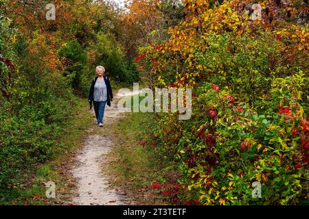 Besucher des Jamaica Bay National Wildlife Refuge im Herbst Stockfoto