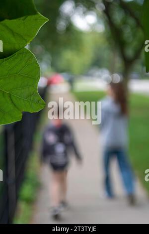 Hochauflösendes Bild von ein paar Kindern, die nicht im Fokus sind, zu Fuß zur Schule gehen, mit einem typischen grünen Hintergrund und einem langen Weg in den US-Vororten Stockfoto