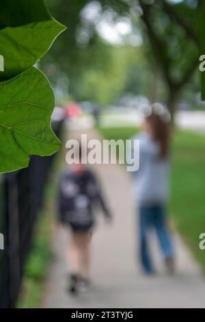 Hochauflösendes Bild von ein paar Kindern, die nicht im Fokus sind, zu Fuß zur Schule gehen, mit einem typischen grünen Hintergrund und einem langen Weg in den US-Vororten Stockfoto