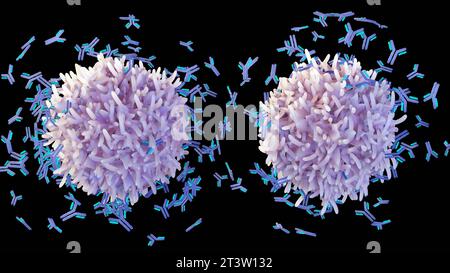 B-Zellen helfen, den Körper vor Keimen, Viren oder Bakterien zu schützen, indem sie Proteine herstellen, die als Antikörper 3D-Rendering bezeichnet werden Stockfoto