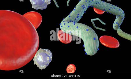 3D-Rendering eines Ebola-Virus im menschlichen Körper mit verstreuten roten und weißen Blutkörperchen Stockfoto