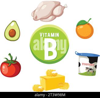 Eine bunte Vektorillustration Vitamin-B-reicher Lebensmittel Stock Vektor