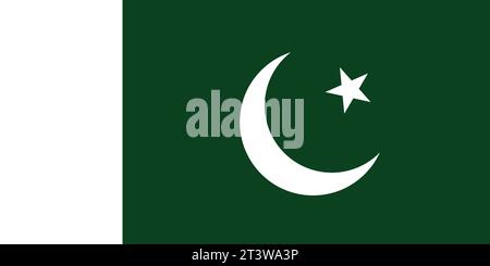 Nationalflagge Pakistans, die für Nationalfeiertage verwendet werden kann. Vektorabbildung Stock Vektor