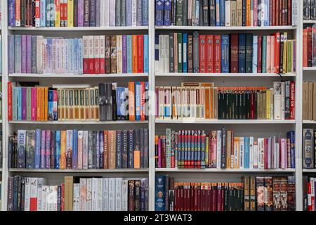 Buchhandlung mit kompletten Regalen mit verschiedenen Büchern. Stockfoto
