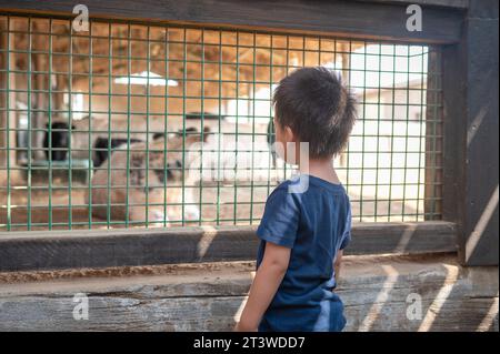 Entzückender multirassischer Junge, der vor einem Käfig mit Tieren in einem Zoo steht. Outdoor-Spaß für Kinder. Familienwochenende, Konzept von Friendshi Stockfoto