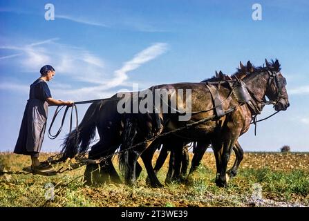 Amish Woman Plowing, Lancaster Co., Pennsylvania, USA Stockfoto