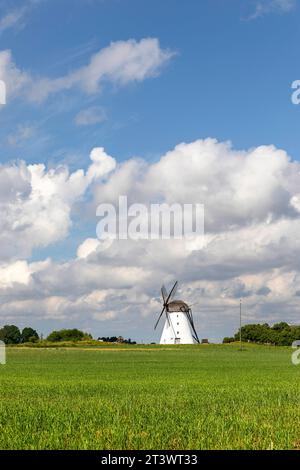 Malerische Seidla Windmühle an einem sonnigen Sommertag, traditionelle Windmühle auf dem Land Estlands Stockfoto